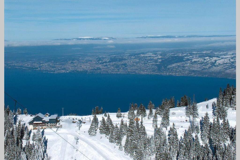 Duplex En Station Vue Sur Lac Leman Thollon-les-Memises Esterno foto