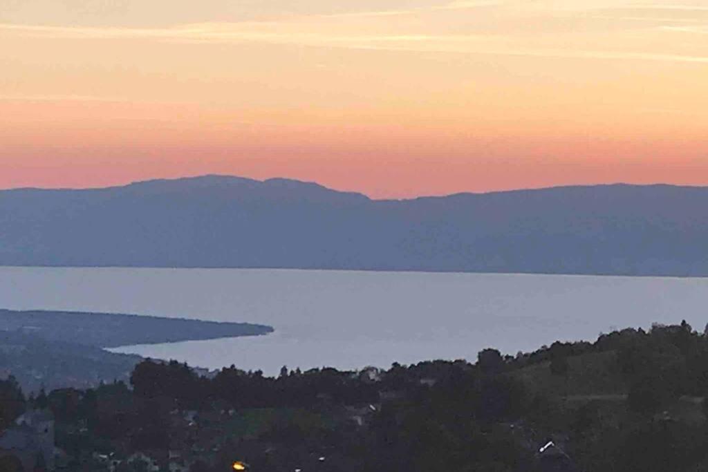 Duplex En Station Vue Sur Lac Leman Thollon-les-Memises Esterno foto