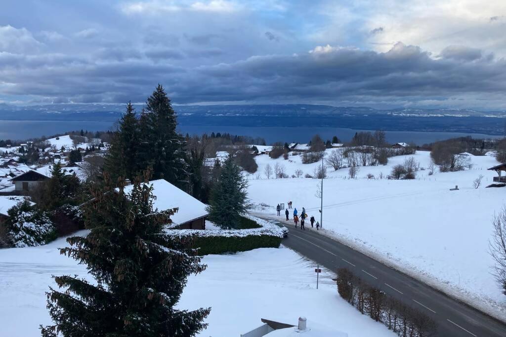 Duplex En Station Vue Sur Lac Leman Thollon-les-Memises Esterno foto