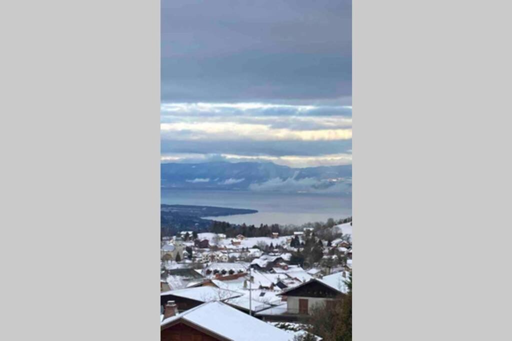 Duplex En Station Vue Sur Lac Leman Thollon-les-Memises Esterno foto