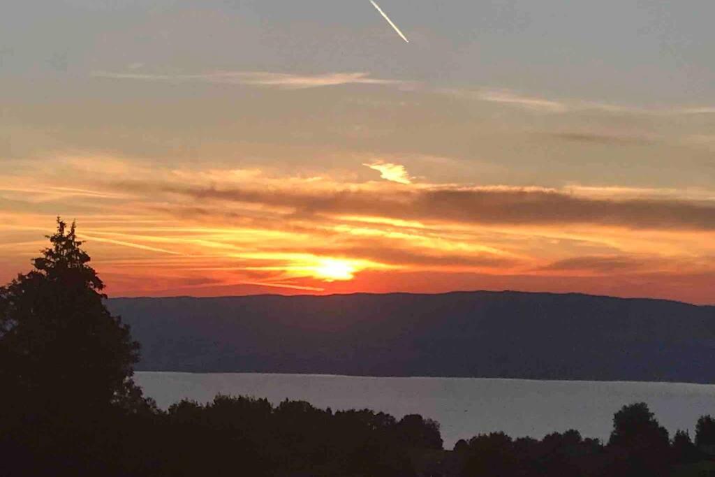Duplex En Station Vue Sur Lac Leman Thollon-les-Memises Esterno foto
