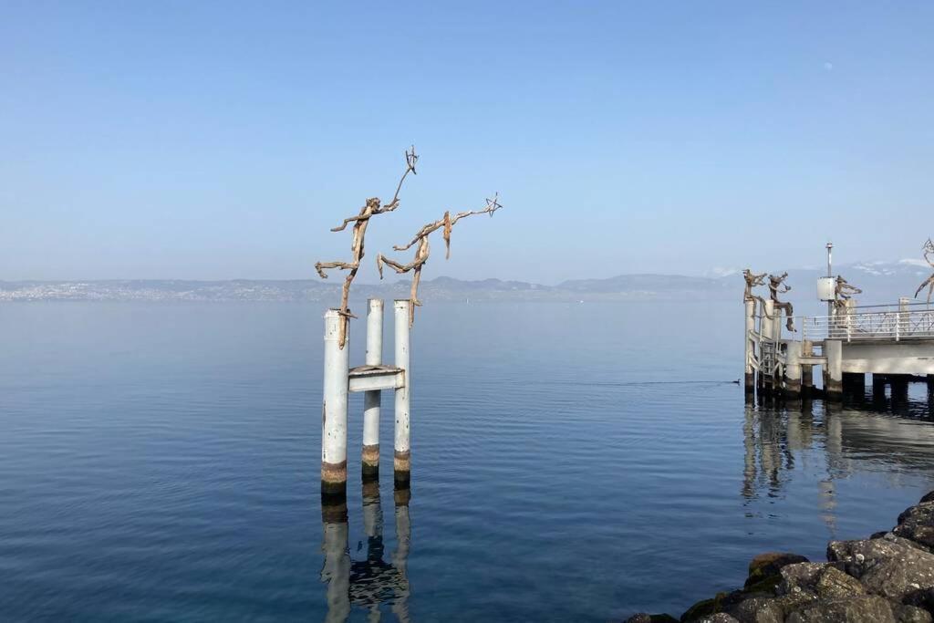 Duplex En Station Vue Sur Lac Leman Thollon-les-Memises Esterno foto