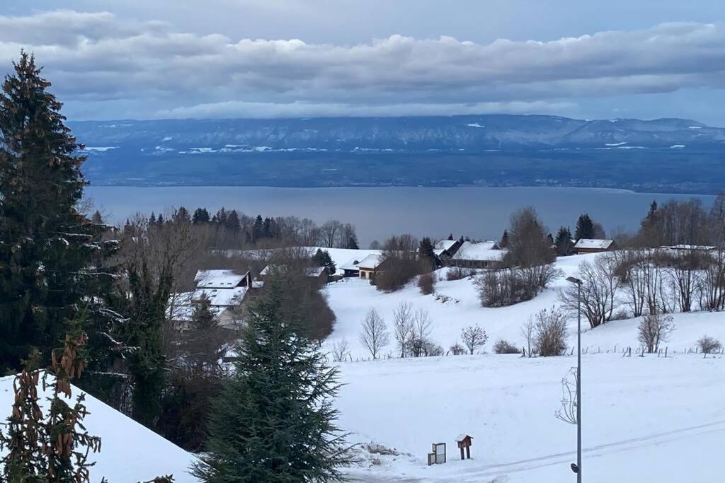 Duplex En Station Vue Sur Lac Leman Thollon-les-Memises Esterno foto