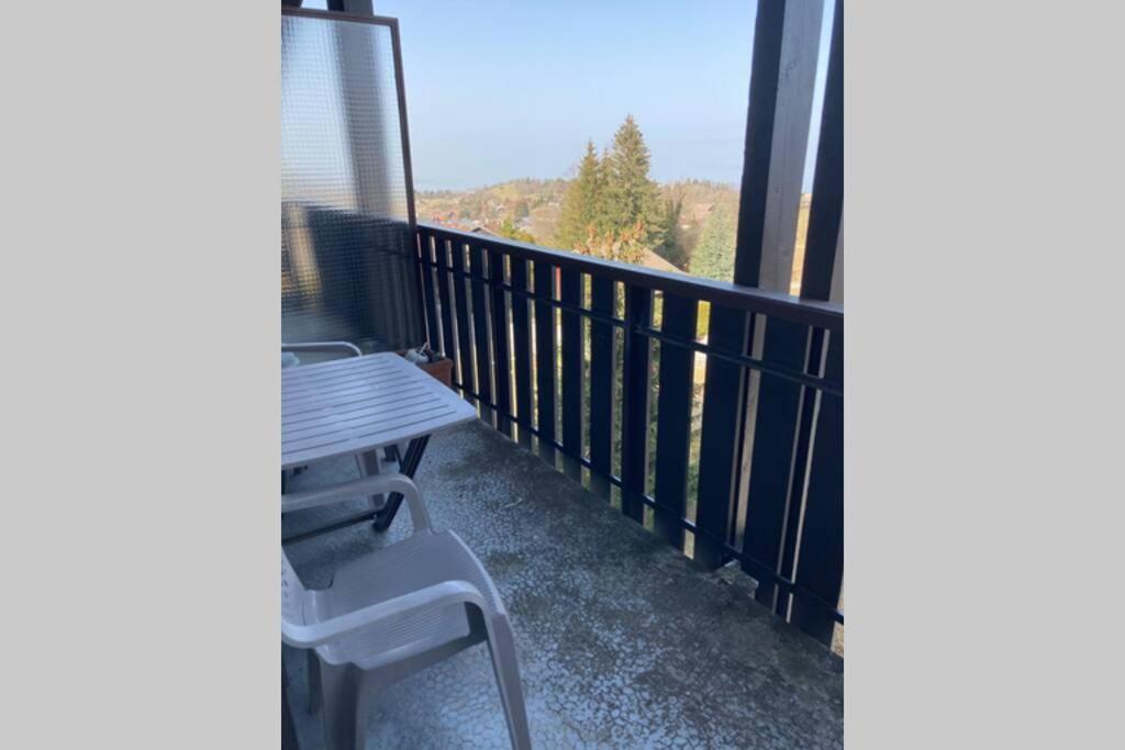 Duplex En Station Vue Sur Lac Leman Thollon-les-Memises Esterno foto
